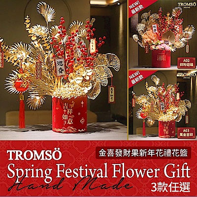 TROMSO金喜發財果新年花禮花籃A系列(大)-多款任選