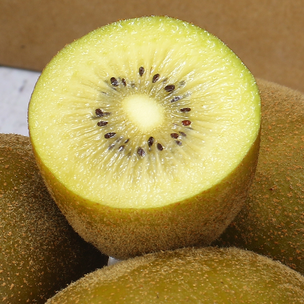 愛蜜果 台灣合歡山翠峰黃金奇異果11顆禮盒 (約2.5斤/盒) | 奇異果/山竹/榴槤 | Yahoo購物中心