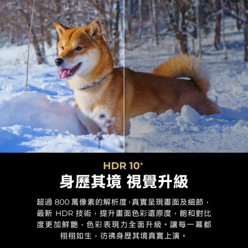 AIWA愛華 AI-86QU7 - 詳情1