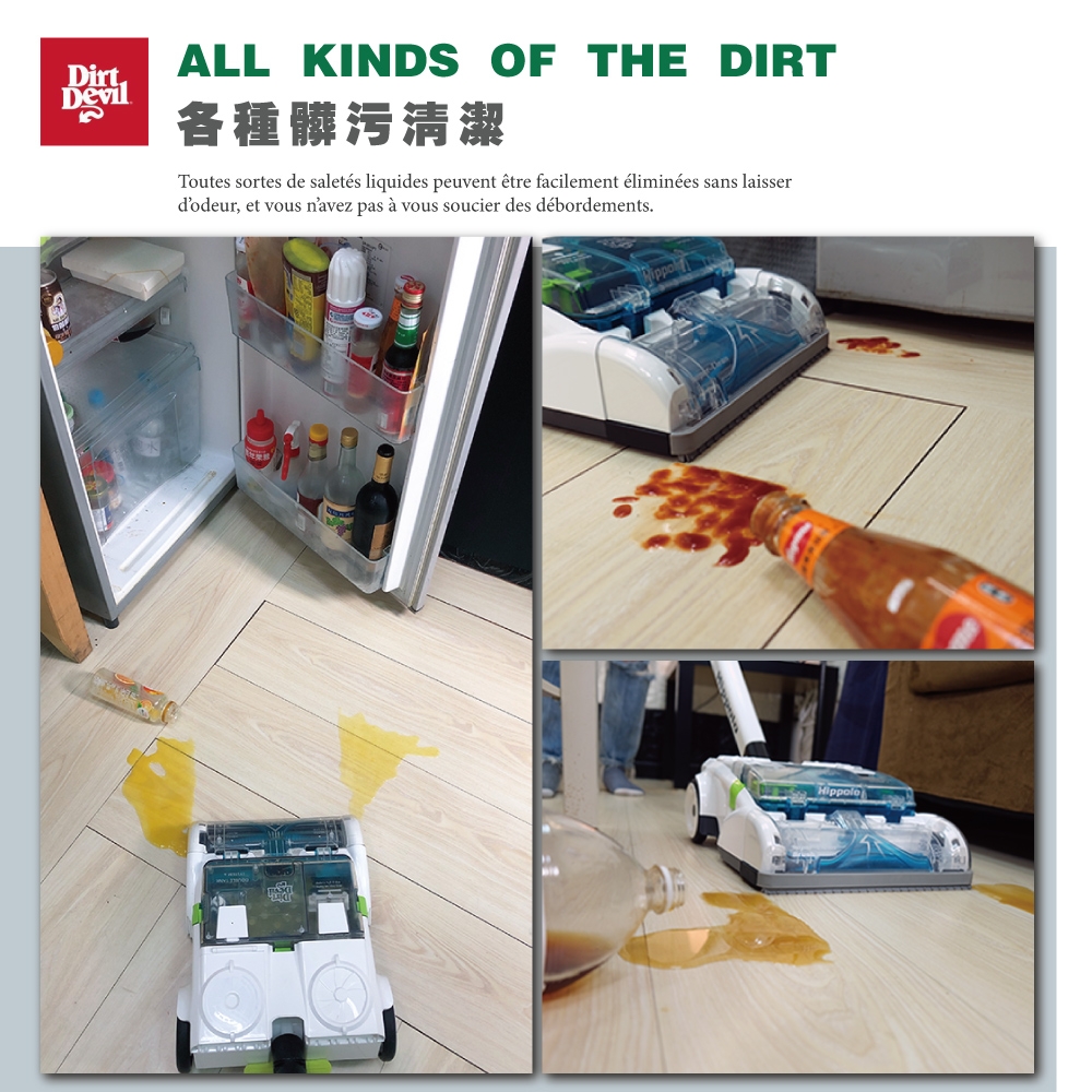 Dirt Devil Hippolo - 詳情1