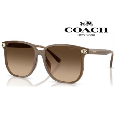 【COACH】亞洲版 太陽眼鏡 精緻水鑽設計 HC8413BD 580874 咖啡色框漸層茶鏡片 公司貨(加贈掛式眼鏡袋)