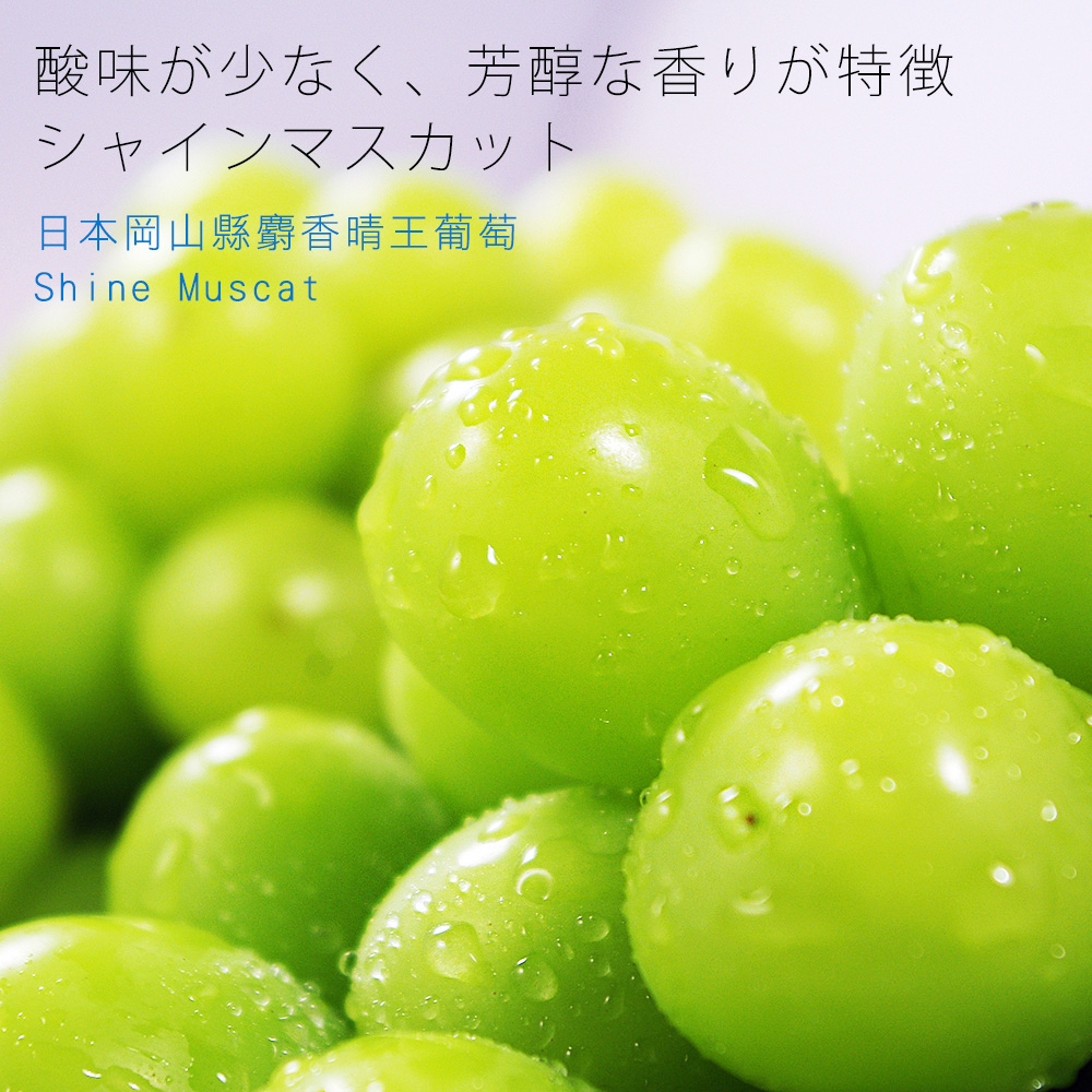 鮮果日誌】日本岡山縣麝香晴王葡萄(Shine Muscat) / 一房| 葡萄/火龍果