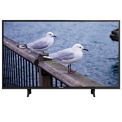 Panasonic國際49吋4K 智慧聯網液晶顯示器+視訊盒TH-49FX600W | 電視