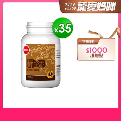 樟芝王100粒x35瓶