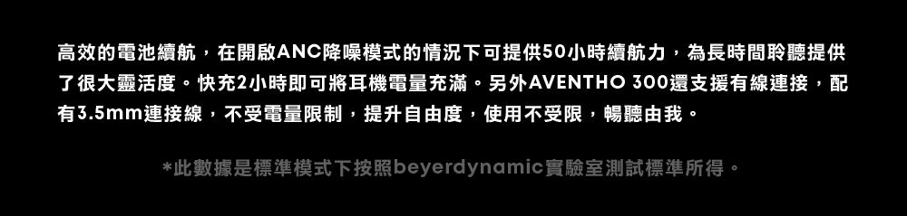 beyerdynamic拜雅 Aventho 300 - 詳情2