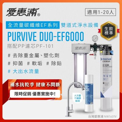 EVERPURE愛惠浦 櫥下型 PURVIVE Duo-EF6000大流量不鏽鋼龍頭兩道式生飲淨水器(前置PP)