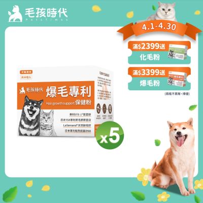 【毛孩時代】爆毛專利保健粉x5盒(貓狗保健品 狗皮毛保健)