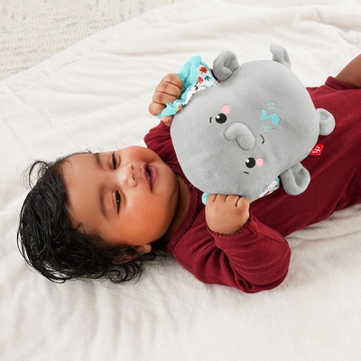 奇哥官方旗艦 Fisher-Price 費雪 安撫睡眠大象