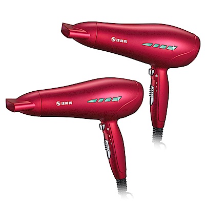 IONIZER達新牌 達新牌負離子吹風機(超值2入組) TS-2888