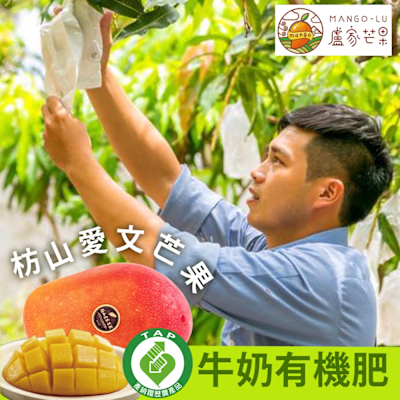 【盧家枋山芒果】愛文芒果禮盒(2.5kg/6顆)