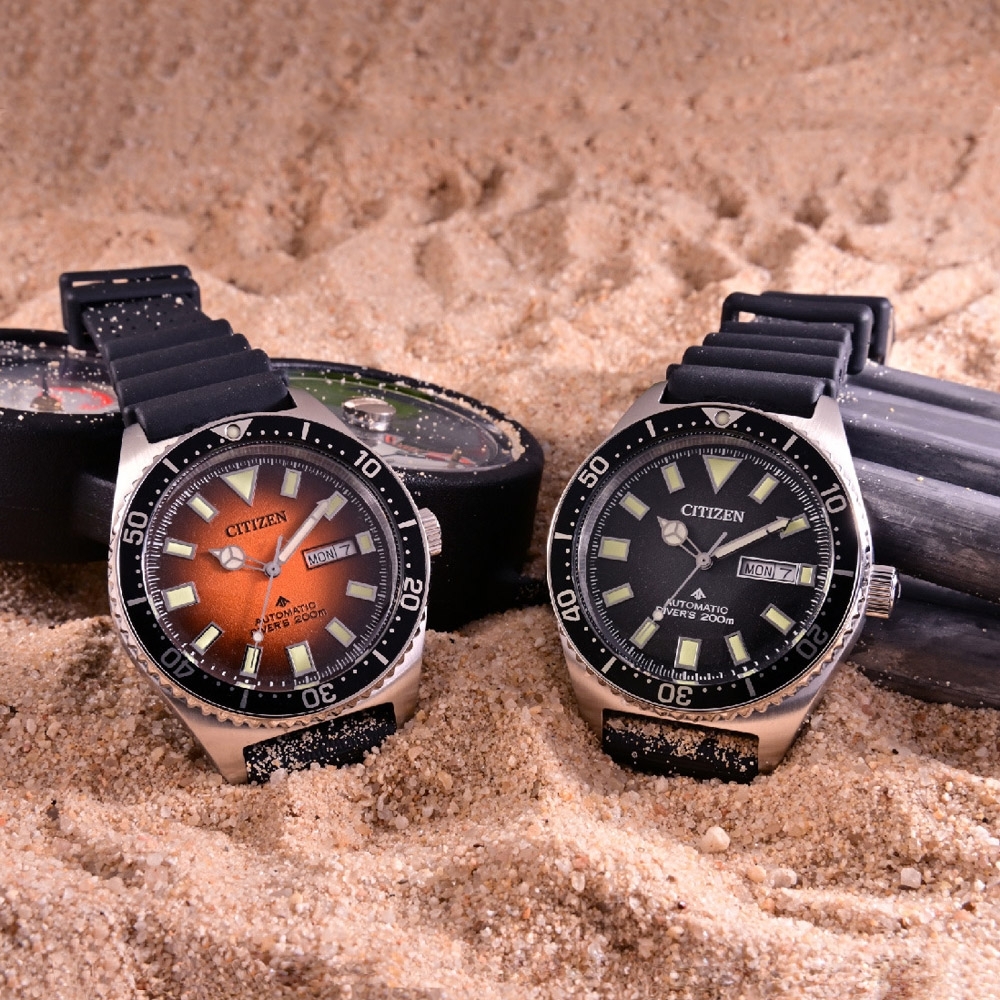 A - Citizen Automatic NY0120-01Z Promaster 41mm
