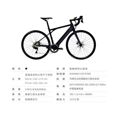 【DOSUN】電動輔助自行車 eBIKE RT100  47CM 送安裝