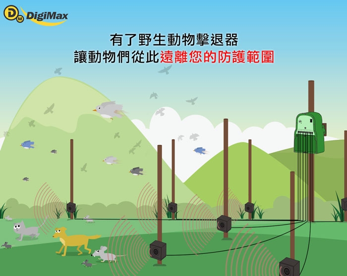 DigiMax UP-166 - 詳情2