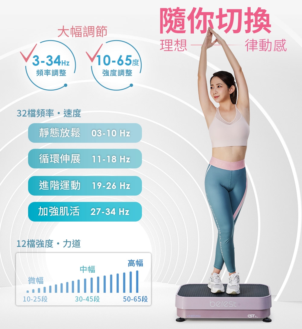 berest VP200 - 詳情2