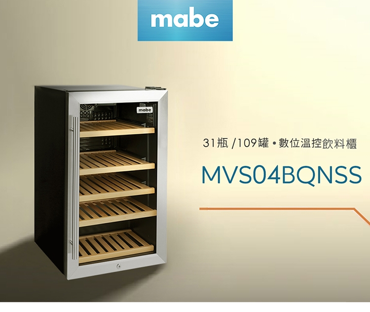 GE奇異 MVS04BQNSS - 詳情1