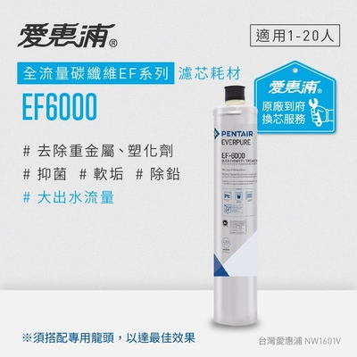Everpure愛惠浦 愛惠浦 EVERPURE EF6000活性碳濾芯(到府更換)