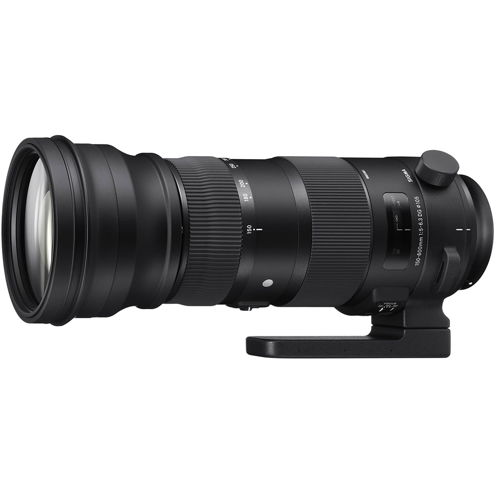 SIGMA 150-600mm F5-6.3 DG OS HSM Sports(公司貨) 超望遠變焦鏡頭飛羽