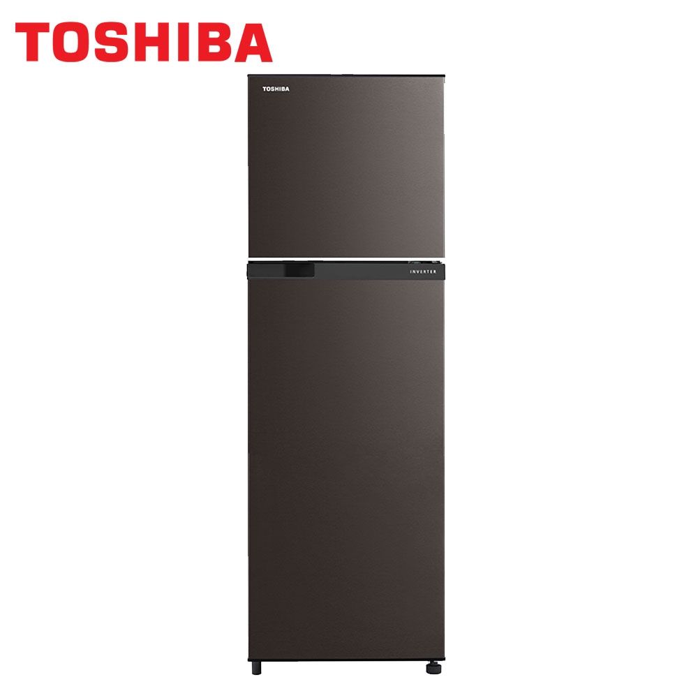 TOSHIBA東芝262公升變頻雙門冰箱GR-B31TP(SK)