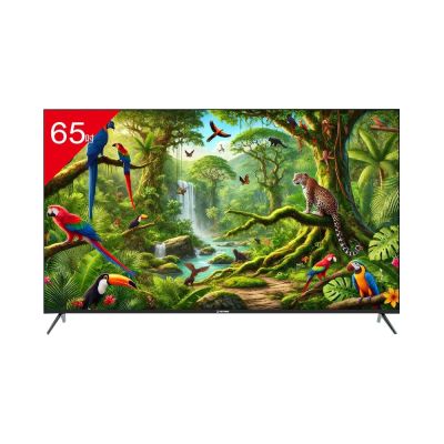 TATUNG大同 65型 4K 智慧顯示器 UH-65UG900A