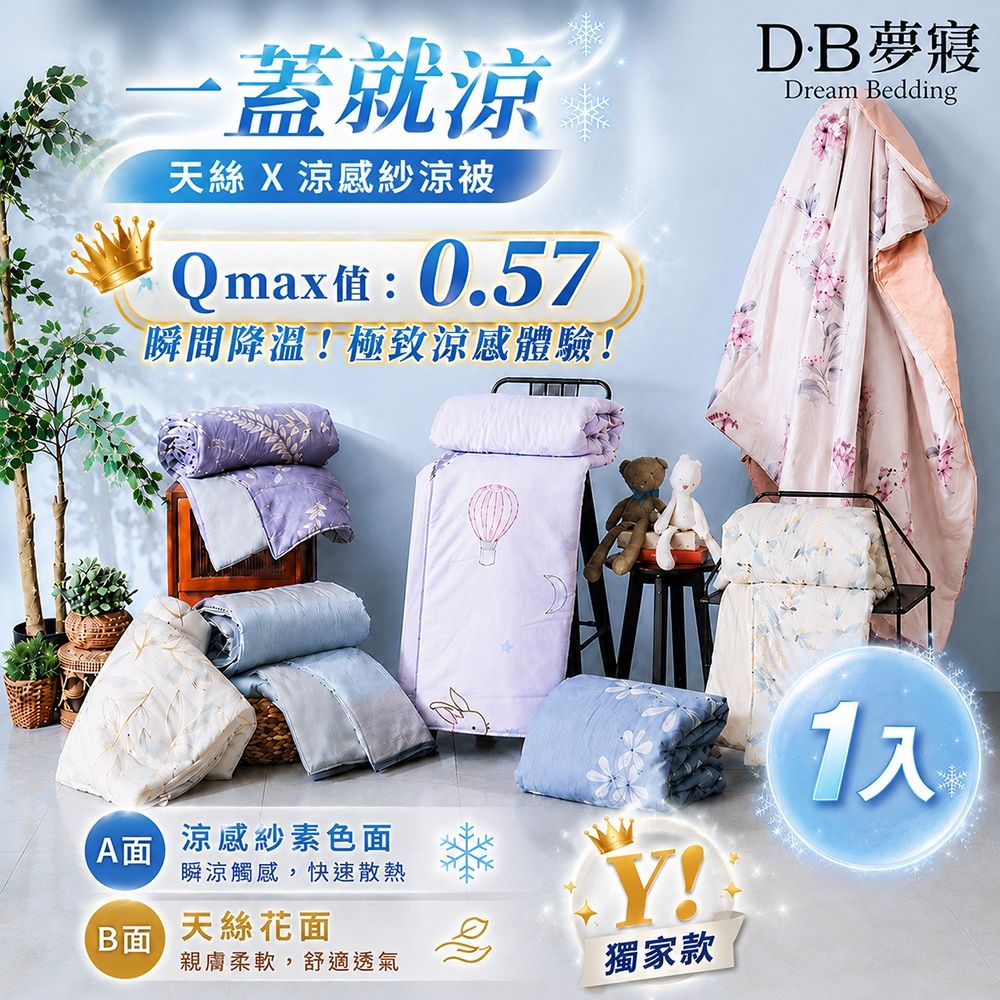 DB夢寢 MIT台灣製AB萊賽爾天絲涼感紗涼被-5X6.5尺 多款可選 (海風吹過的夏)