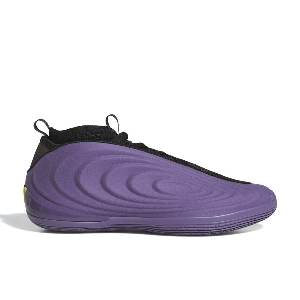 Adidas Harden Vol 10 黑紫 舒適 抓地力 運動鞋 男鞋 JQ9426