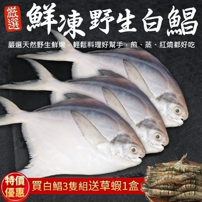 【海陸管家】鮮嫩野生白鯧魚3尾(每尾220g-280g)贈草蝦10尾