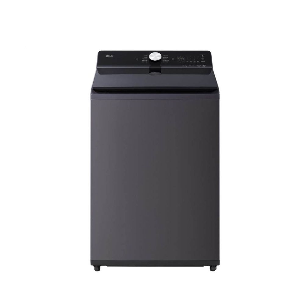 LG樂金 20公斤 AI DD 蒸氣直驅變頻洗衣機 夜墨灰 WT-TD20HG