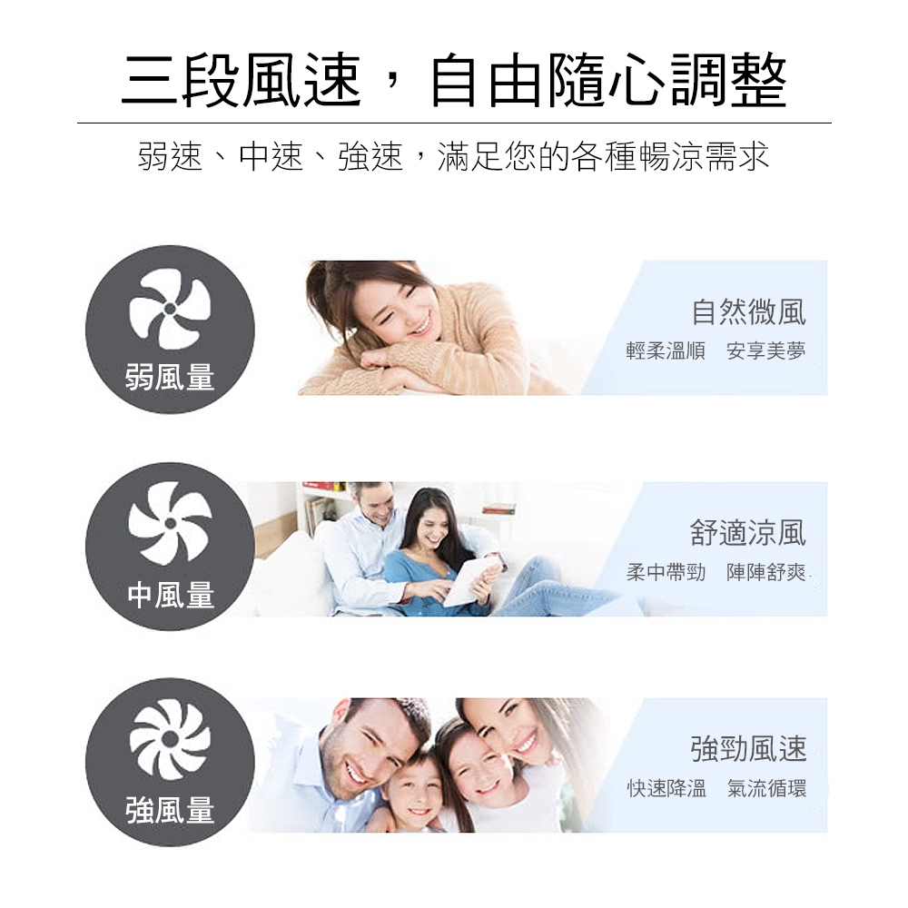 Massey MAS-1801 - 詳情1