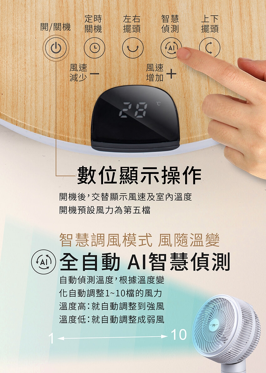 MOLIJIA魔力家 M187 - 詳情3