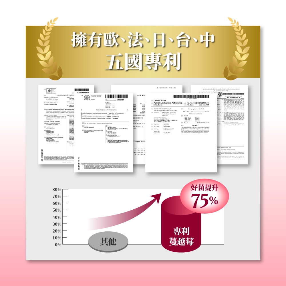 擁有歐、法、日、台中五國專利   80%70%60%50%40%30%%10%0%其他 United StatesPatent pplication lication     APub    A  20專利蔓越莓好菌提升75%