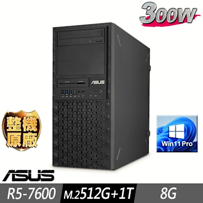 ASUS華碩 ASUS 華碩 ExpertCenter 工作站 R5-7600/8G/M.2-512GB+1TB/300W/W11P