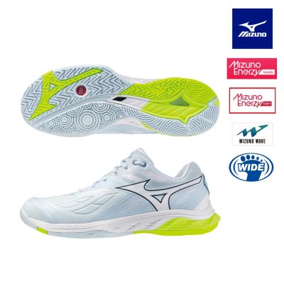 【MIZUNO 美津濃】WAVE FANG 2 男款羽球鞋 71GA231352