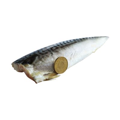 築地一番鮮-3L挪威薄鹽鯖魚 210g X8片｜特大規格 /單片真空 /囤貨量販組
