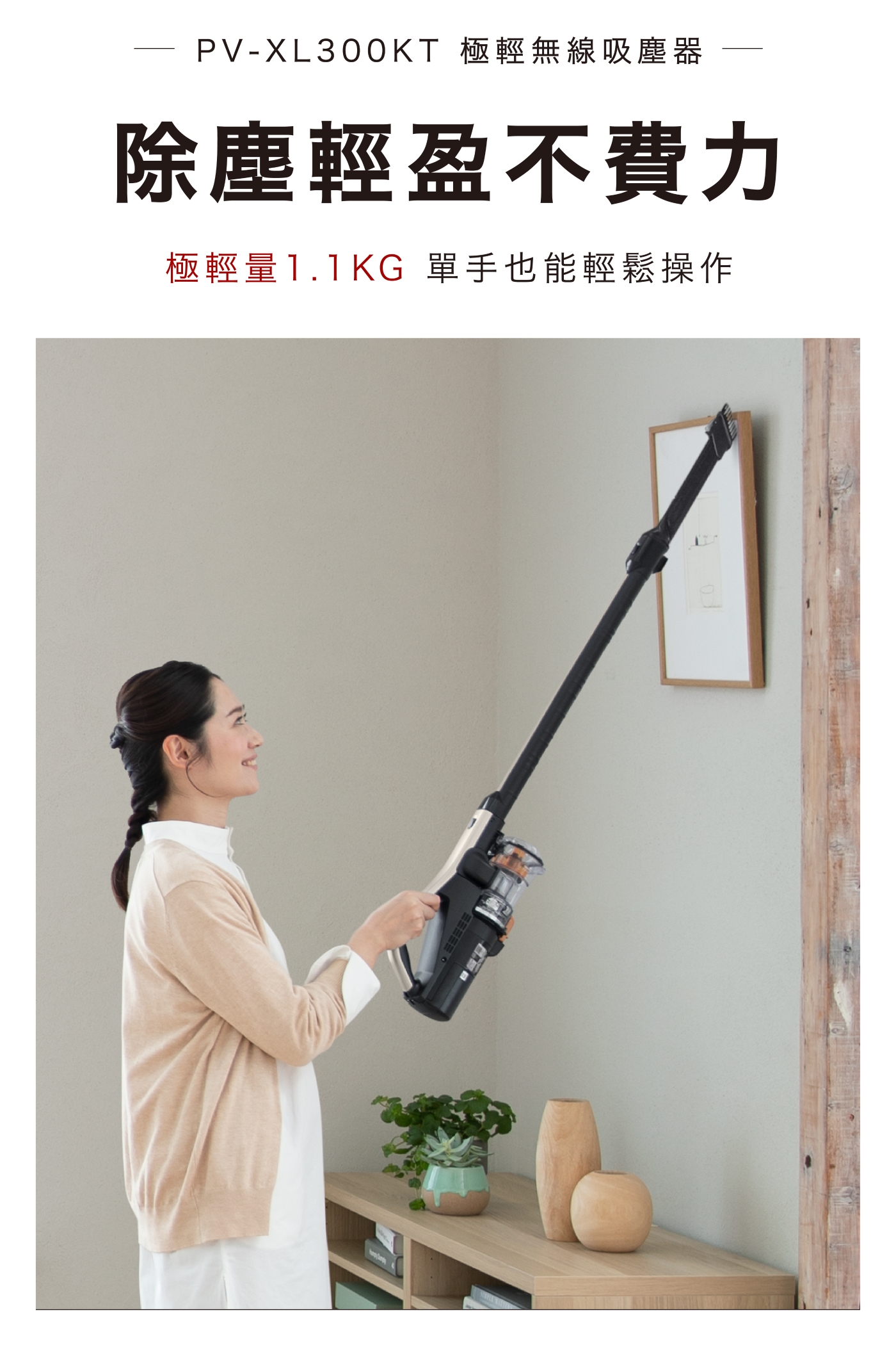 HITACHI日立 PVXL300KT - 詳情3