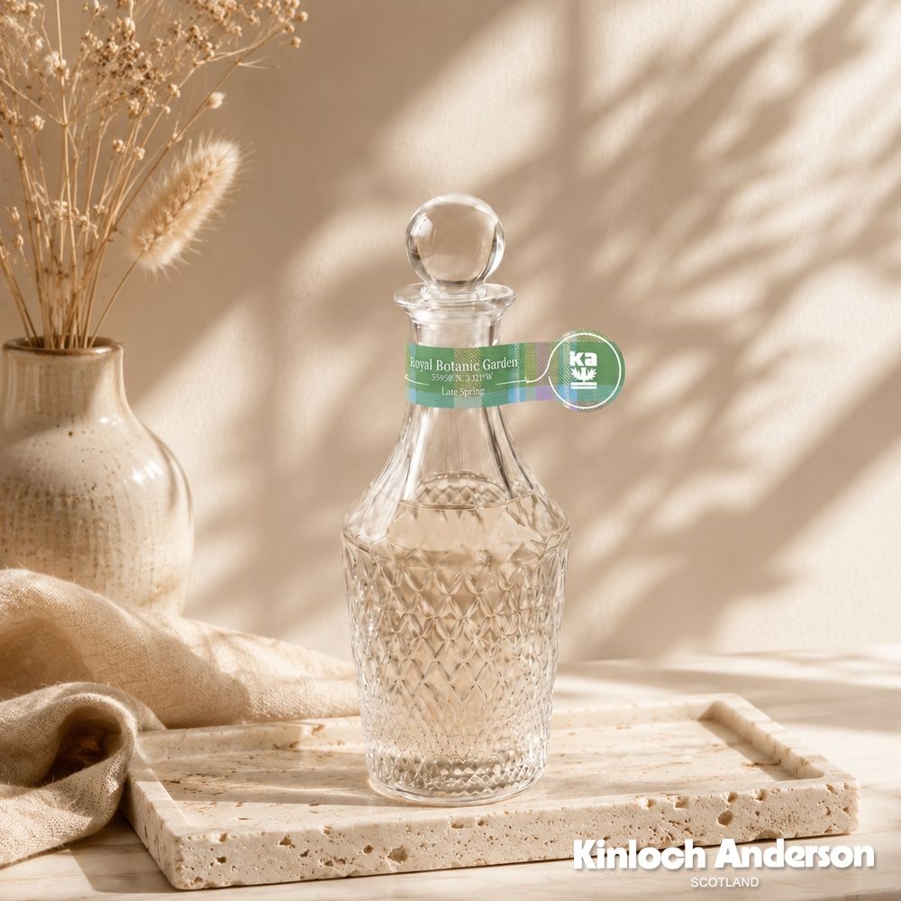 【金安德森】 香氛 NO.07皇家植物園 花香調 空間擴香 150ml (空間香氛)