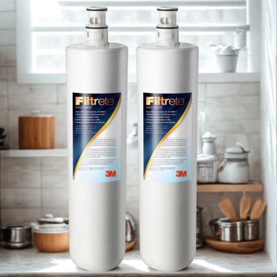 3M 極淨便捷系列S004淨水器專用濾心3US-F004-5-超值2入(兩年份濾心組)/適用A700