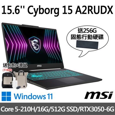 MSI微星 Cyborg 15 A2RUDX-2288TW 15.6吋 電競筆電 (Core 5-210H/16G/512G SSD/RTX3050-6G/Win11)(送256G行動碟)