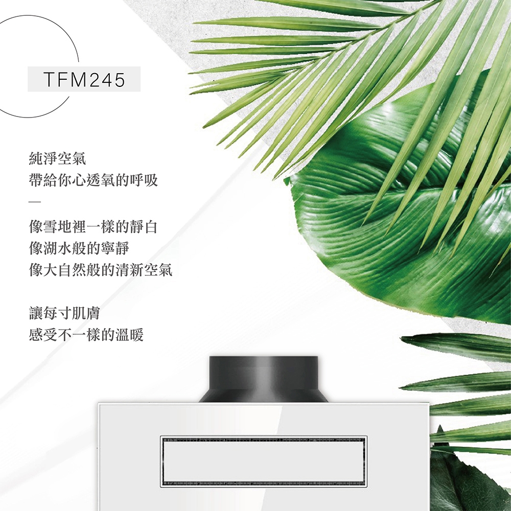 TAISHIBA台芝 TFM245 - 詳情1