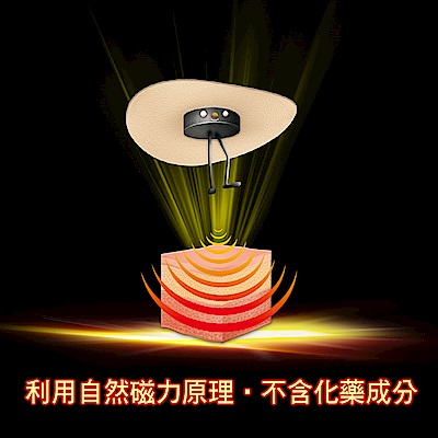 易利氣 磁力貼 大範圍型-MAX2000高斯(12粒/盒)x5盒