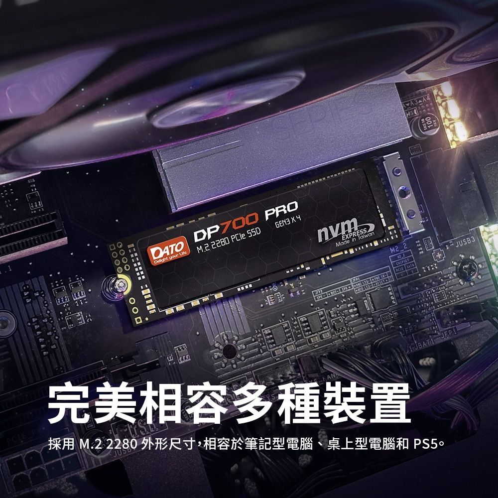 DATO 達多DP700Pro 1TB M.2 2280 PCIe Gen3x4 SSD 固態硬碟(最高達讀