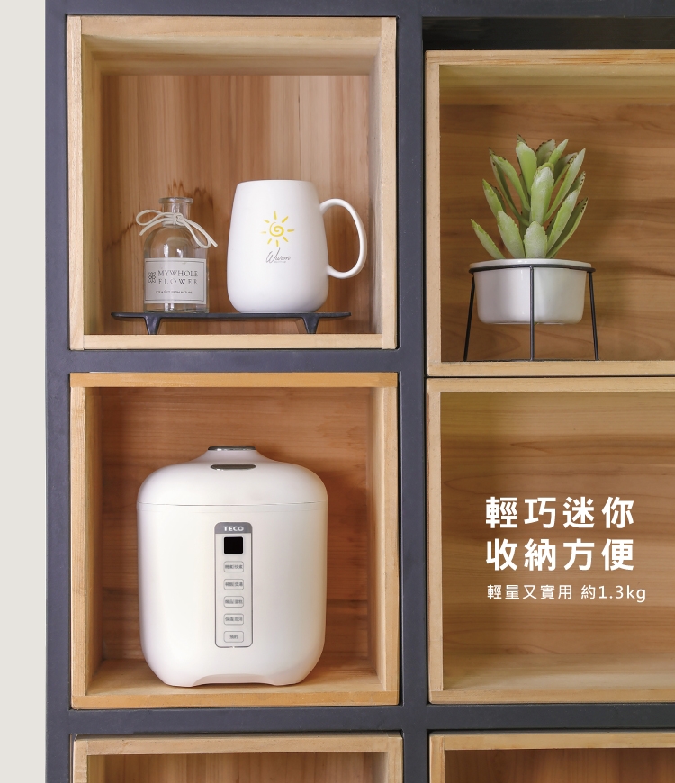 TECO東元 XYFYC0277 - 詳情2