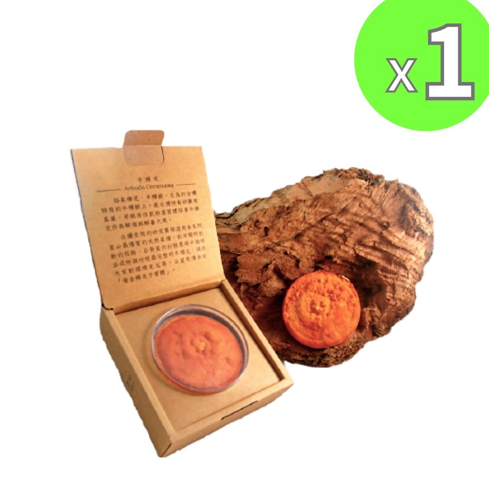 黃金樟芝】專利牛樟芝子實體原片禮盒(1.2g/片) | 抗敏保健| Yahoo購物中心
