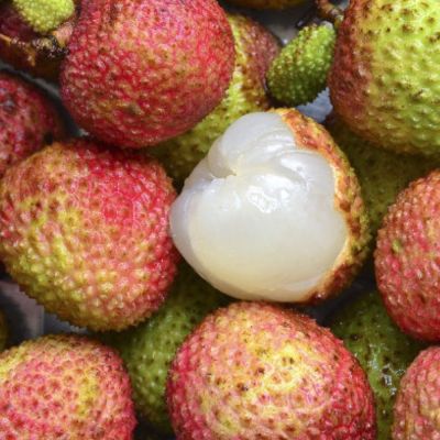 【小馬果園】玉荷包禮盒(1800g/盒(粒裝))