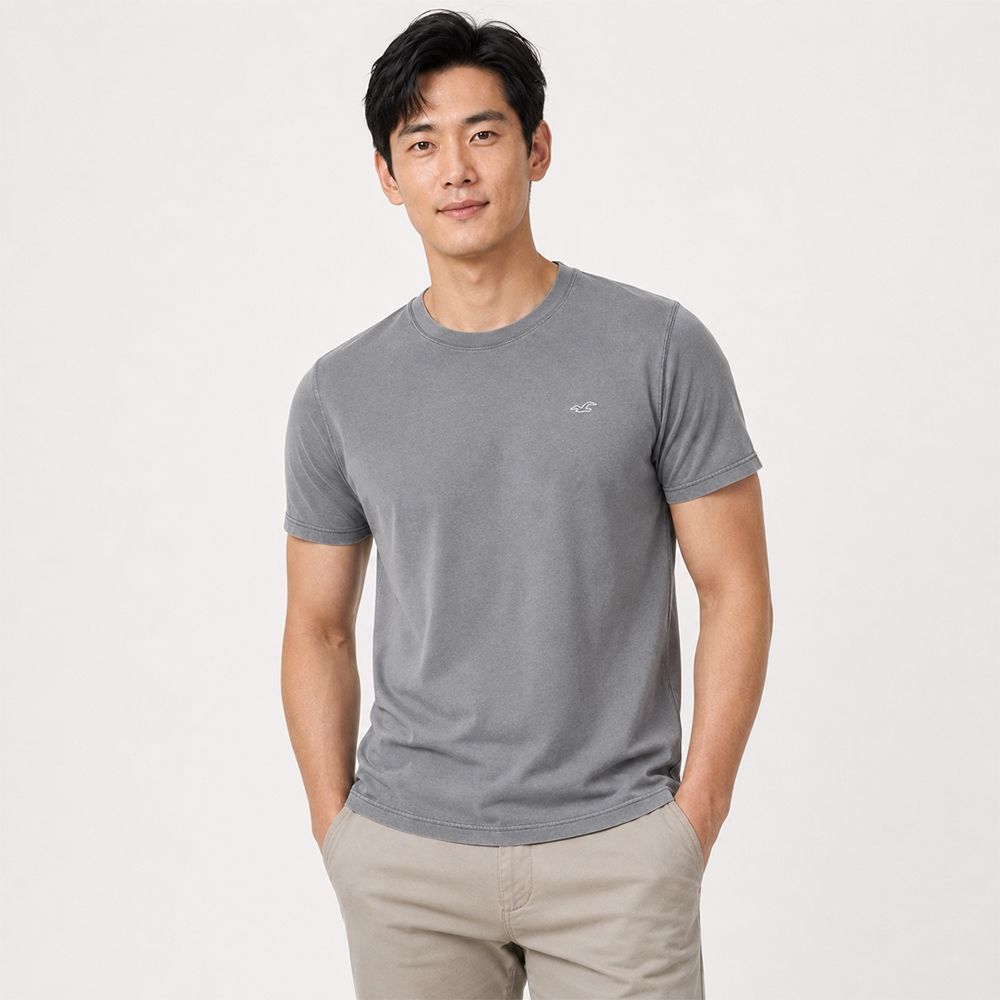 Hollister 海鷗 熱銷刺繡海鷗素面短袖T恤-深灰色