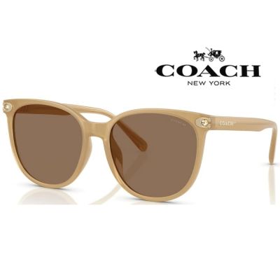 【COACH】亞洲版 太陽眼鏡 框面精緻水鑽設計 HC8414BD 585473 奶茶色框茶色鏡片 公司貨(加贈掛式眼鏡袋)