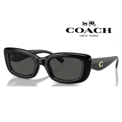 【COACH】亞洲版 時尚復古設計太陽眼鏡 HC8390U 500287 黑框深灰鏡片 公司貨(加贈掛式眼鏡袋)