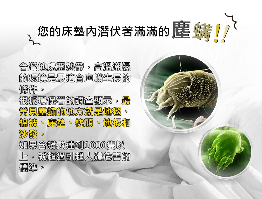 DigiMax DP-3K6 - 詳情2