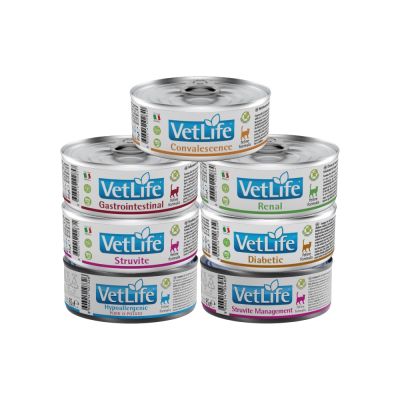 【Farmina 法米納】FC 貓用天然處方罐系列  85g (12入) 85克 處方 貓罐頭 貓罐