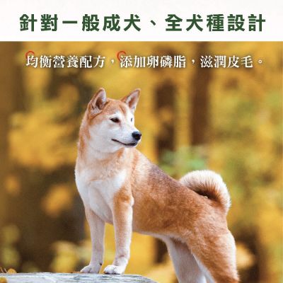 多納Donna 健康犬均衡營養配方15kg*2包 (2件組) 牛肉/雞肉口味 狗飼料 狗乾糧 犬糧