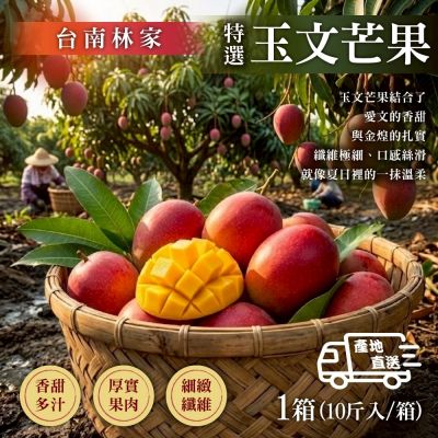 預購【臺南林家】 特選玉文芒果10斤x1箱 (紅金煌/產地嚴選)
